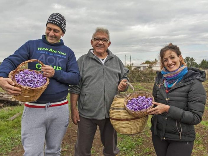 L’AZIENDA - DA BUCCHERI (SICILIA) ORO ROSSO DEGLI IBLEI